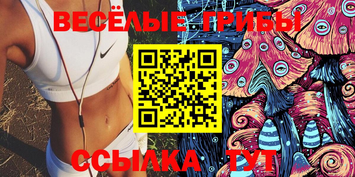Галлюциногенные грибы Psilocybine cubensis Заводоуковск