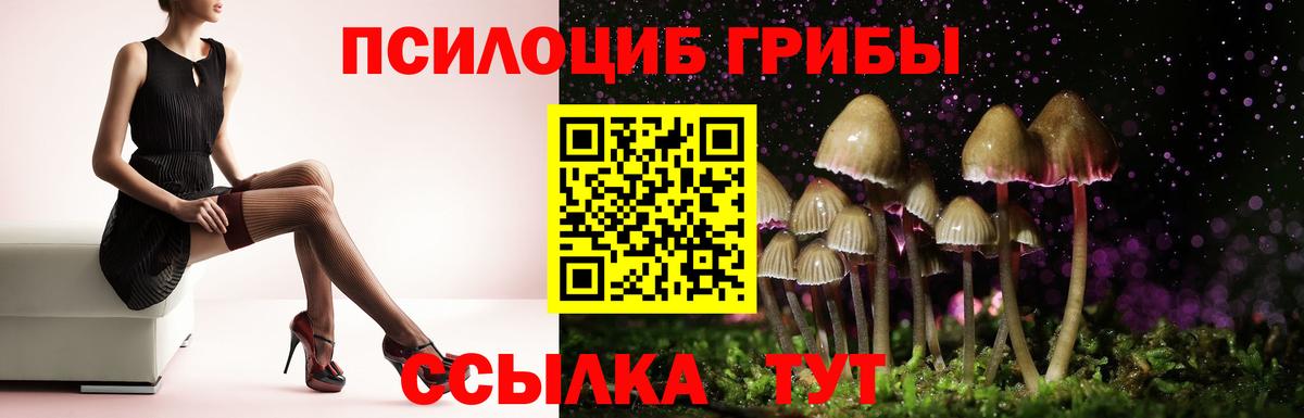 Псилоцибиновые грибы Magic Shrooms  Вход с VPN  Заводоуковск 